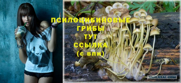 ешки Абинск