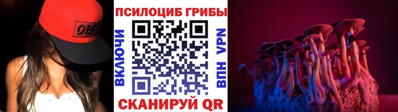 купить   Ак-Довурак  Галлюциногенные грибы Magic Shrooms 